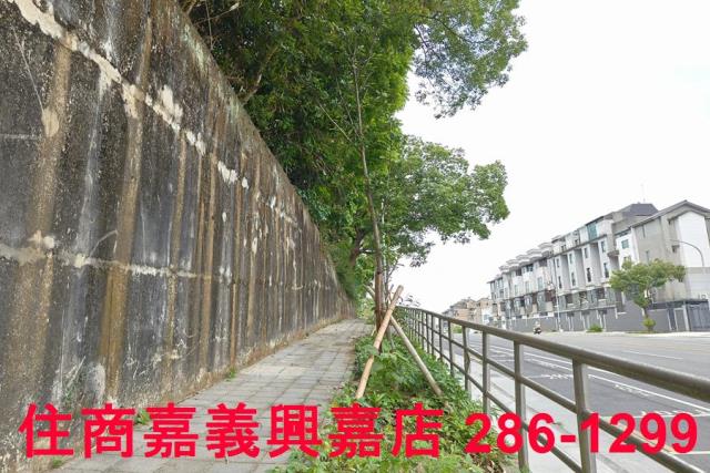 嘉義農地-11
