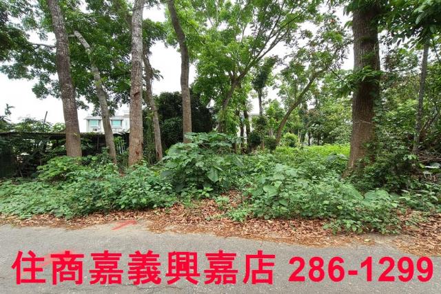 嘉義農地-7