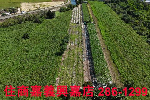 嘉義農地-3