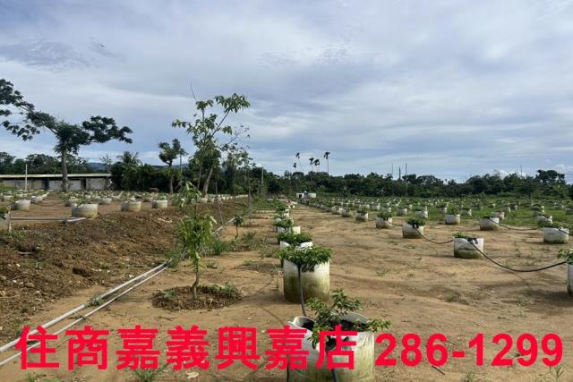 嘉義休閒地-13