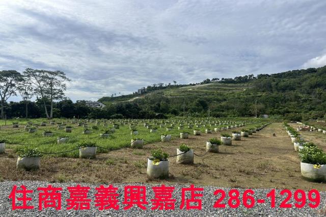 嘉義休閒地-15
