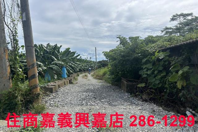 嘉義休閒地-2