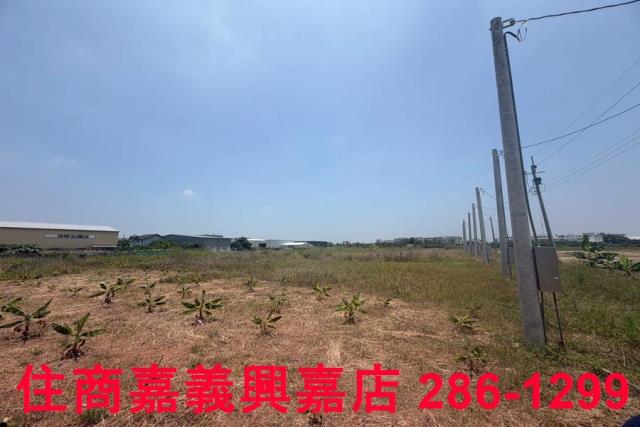 嘉義西區農地-5