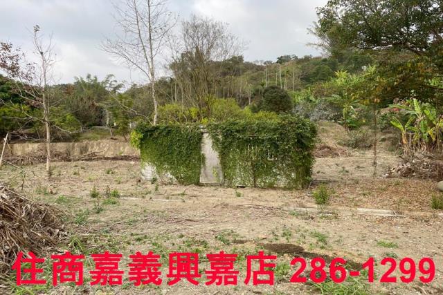 嘉義中埔農地-10