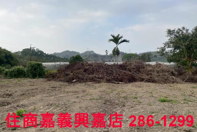 嘉義中埔農地-11