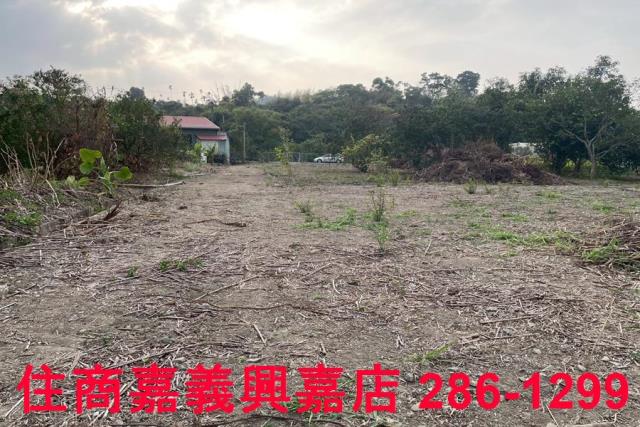 嘉義中埔農地-3