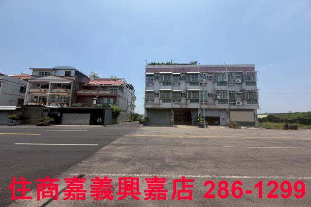 嘉義太保農地-11