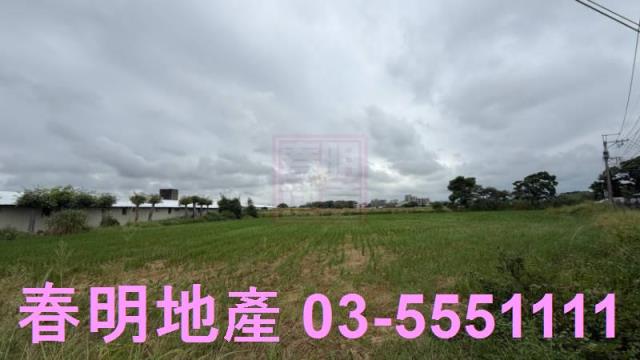 新竹新豐農地-5