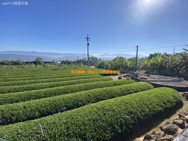 南投南投市農地-4