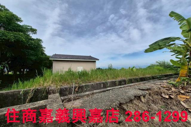 嘉義水上農地-7