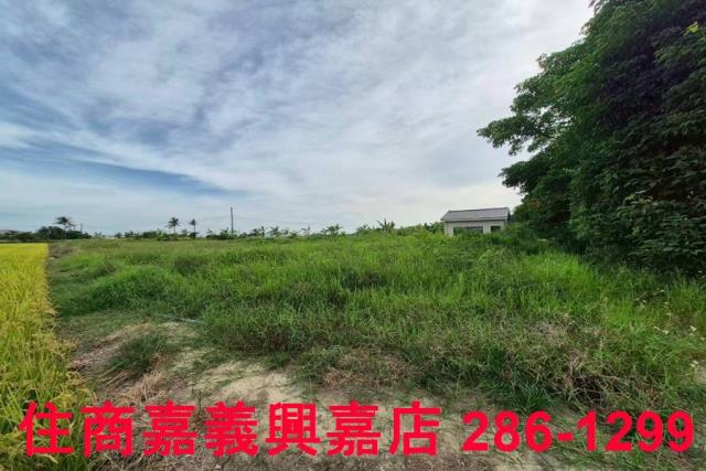 嘉義水上農地-9