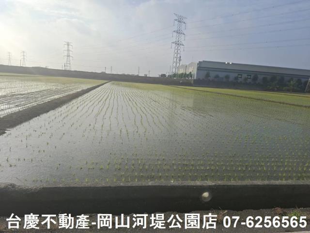 高雄路竹農地-2