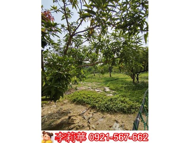 高雄岡山農地-7
