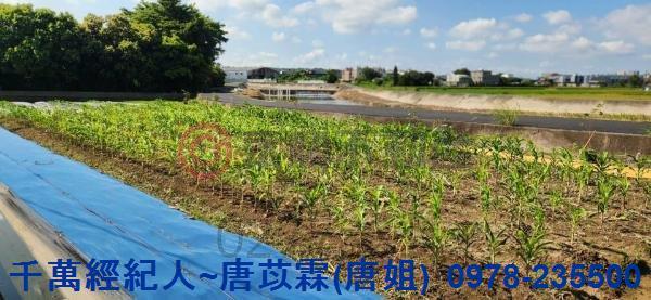 新竹湖口農地-12