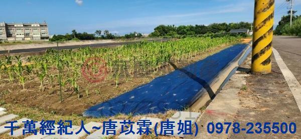 新竹湖口農地-8