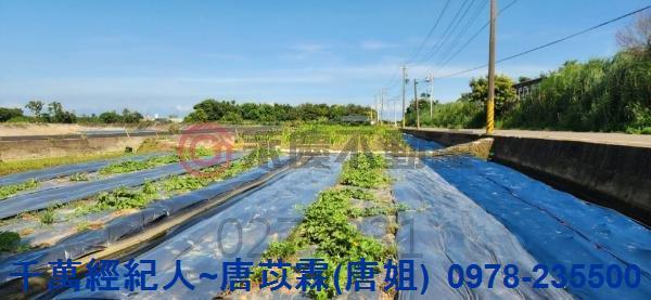 新竹湖口農地-9