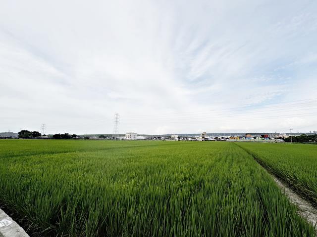 台中龍井農地-0