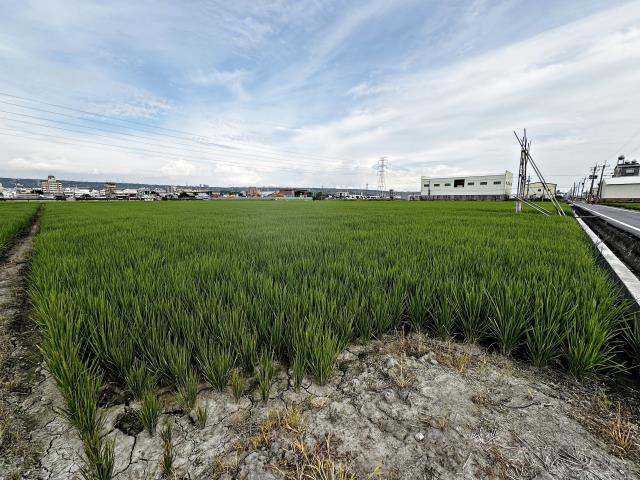 台中龍井農地-2