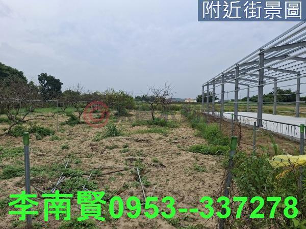 新化農地-11