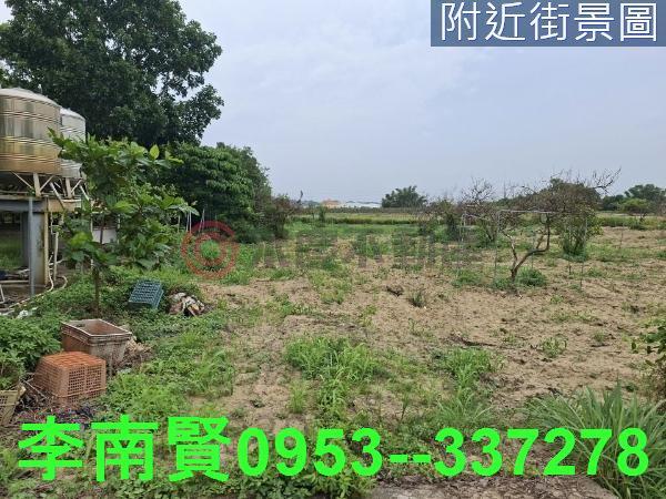 新化農地-1