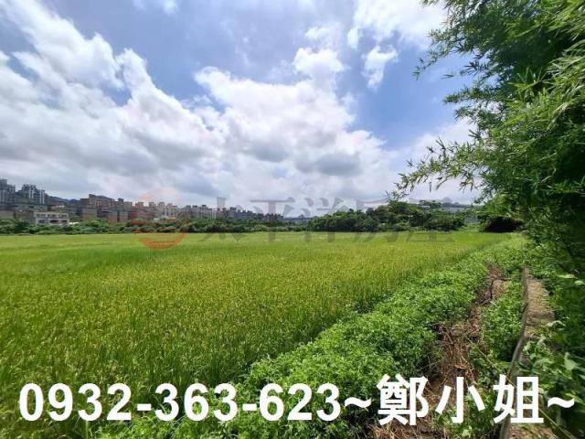 蘆竹農地-5