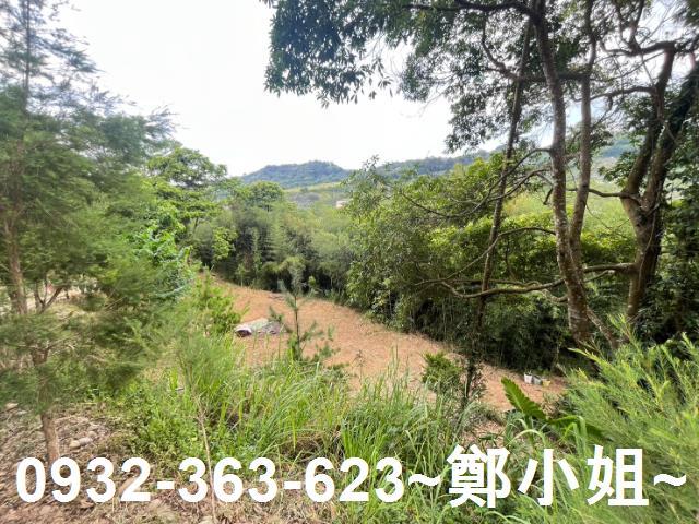 卓蘭農地-12