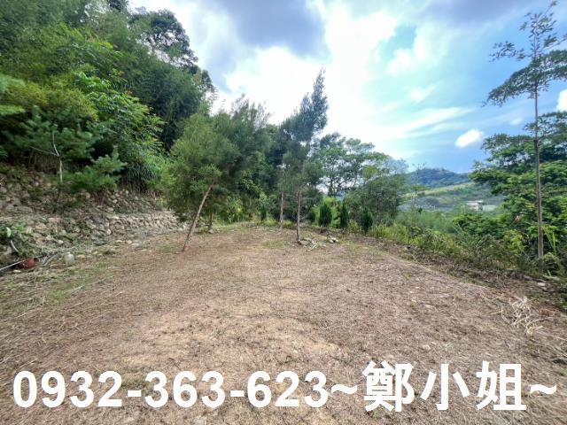 卓蘭農地-13