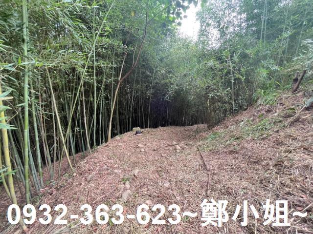 卓蘭農地-7
