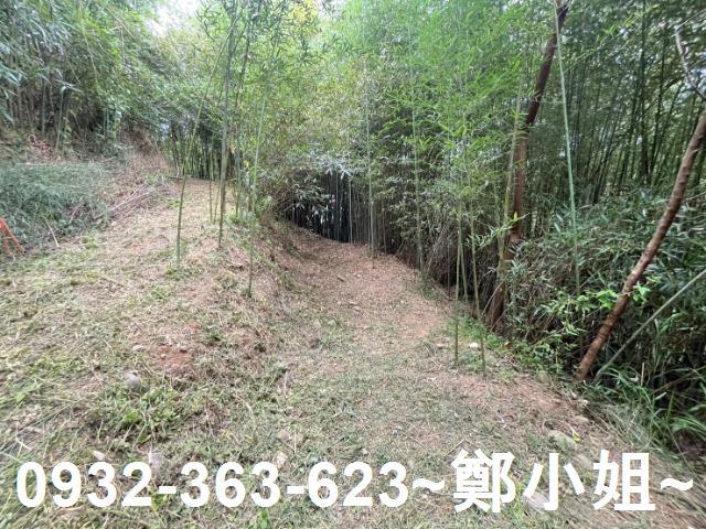 卓蘭農地-9
