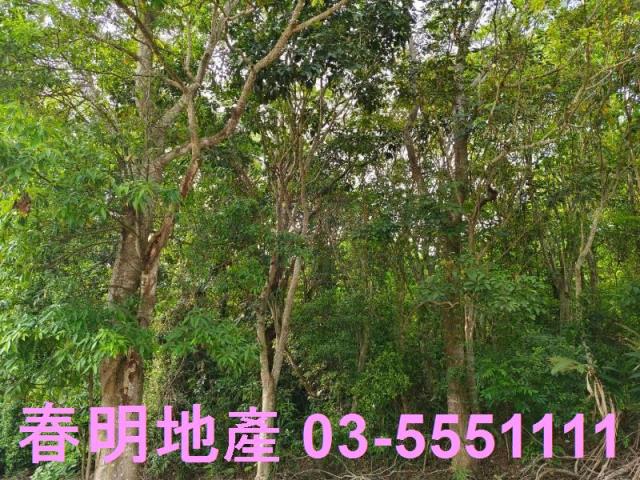 峨眉農地-1