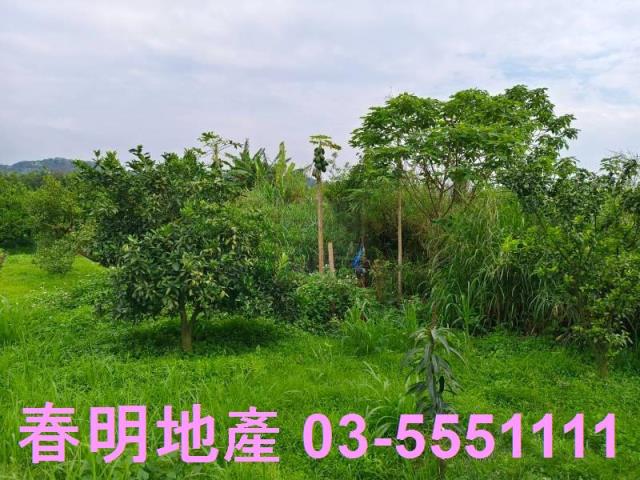 峨眉農地-3