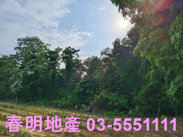 峨眉農地-5