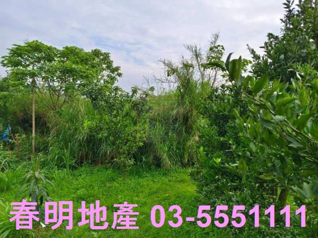 峨眉農地-6