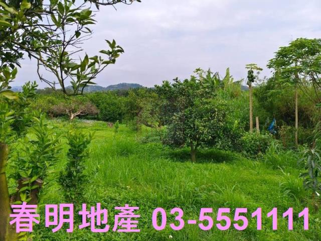 峨眉農地-8