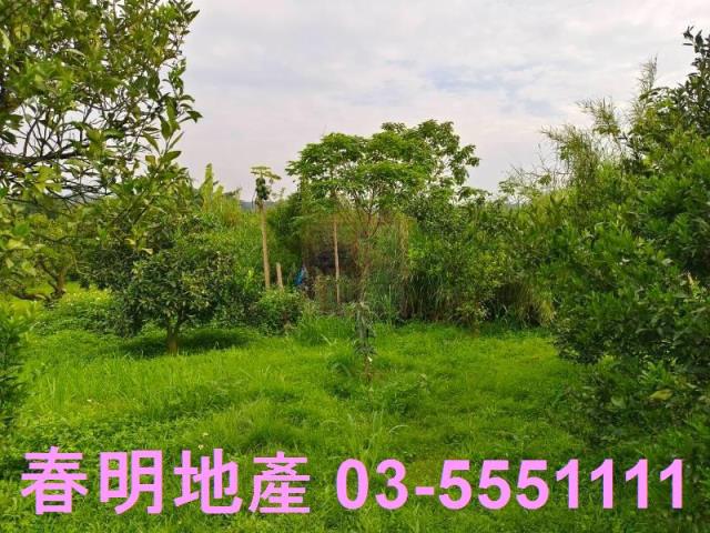峨眉農地-9