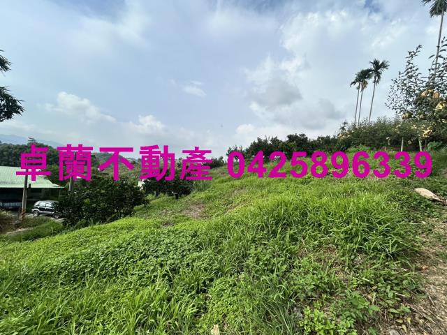 卓蘭農地-11