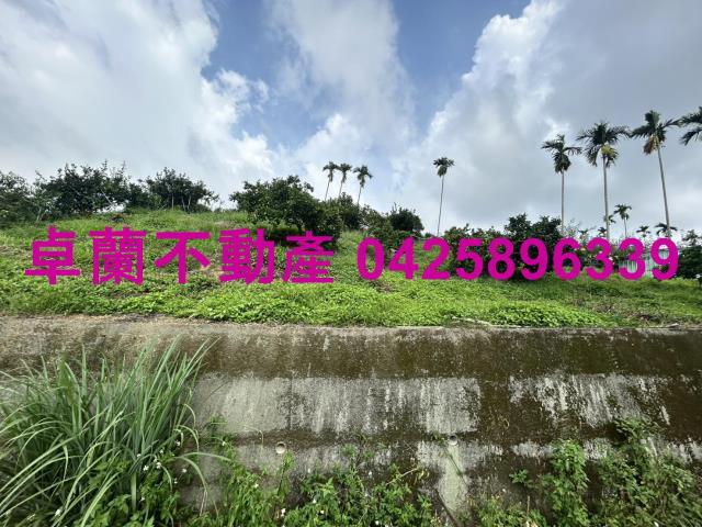 卓蘭農地-13
