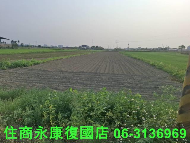善化農地-5