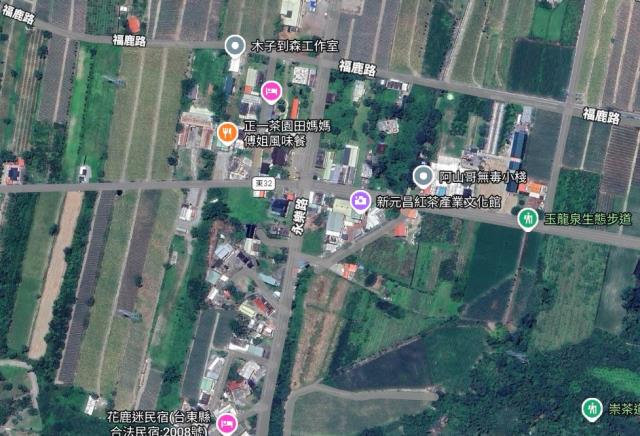 鹿野農地_休閒地_地上宮廟-8