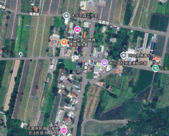 鹿野農地_休閒地_地上宮廟-4