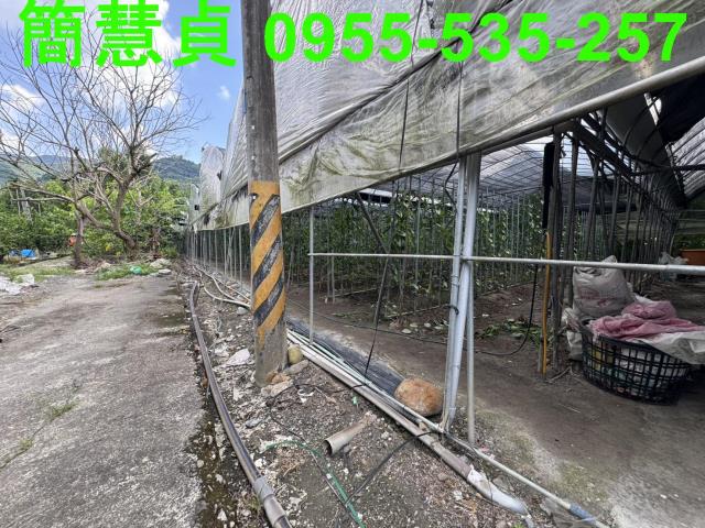 南投農地-1