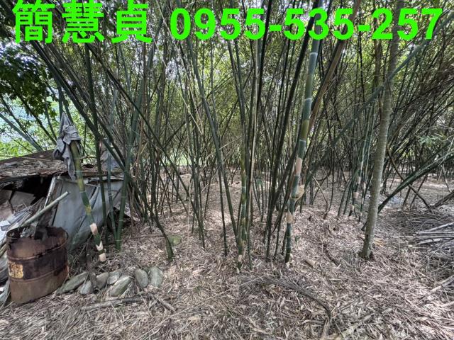 南投農地-3