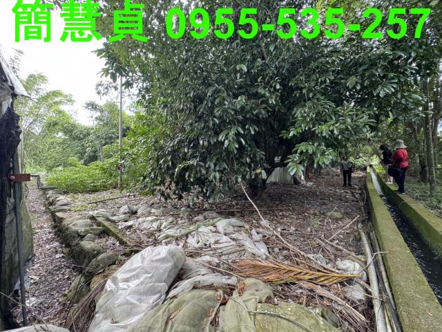 南投農地-4