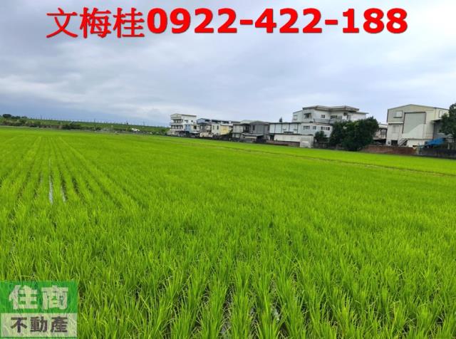 宜蘭宜蘭市農地-3