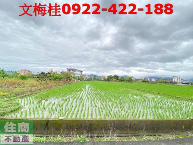 宜蘭宜蘭市農地-3