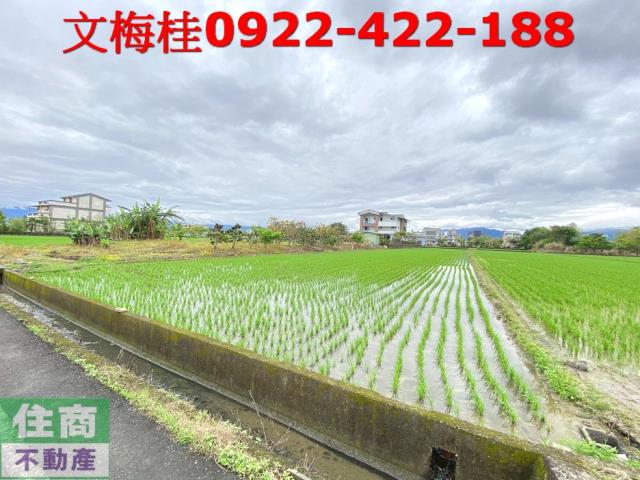 宜蘭宜蘭市農地-4