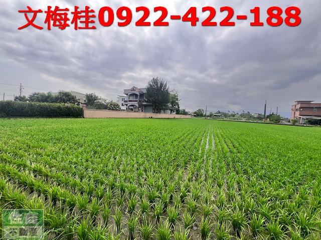 宜蘭員山農地-2