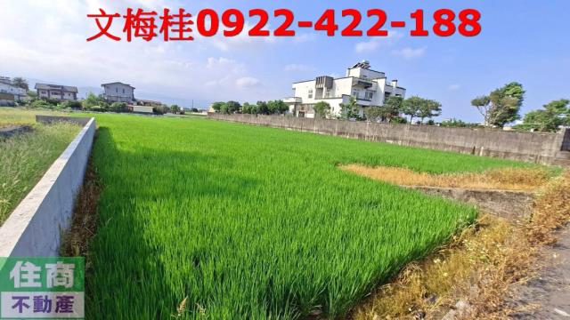 宜蘭員山農地-3
