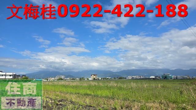 礁溪農地-4