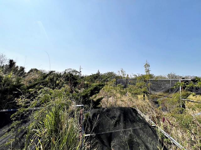 龍井農地_保護區-5